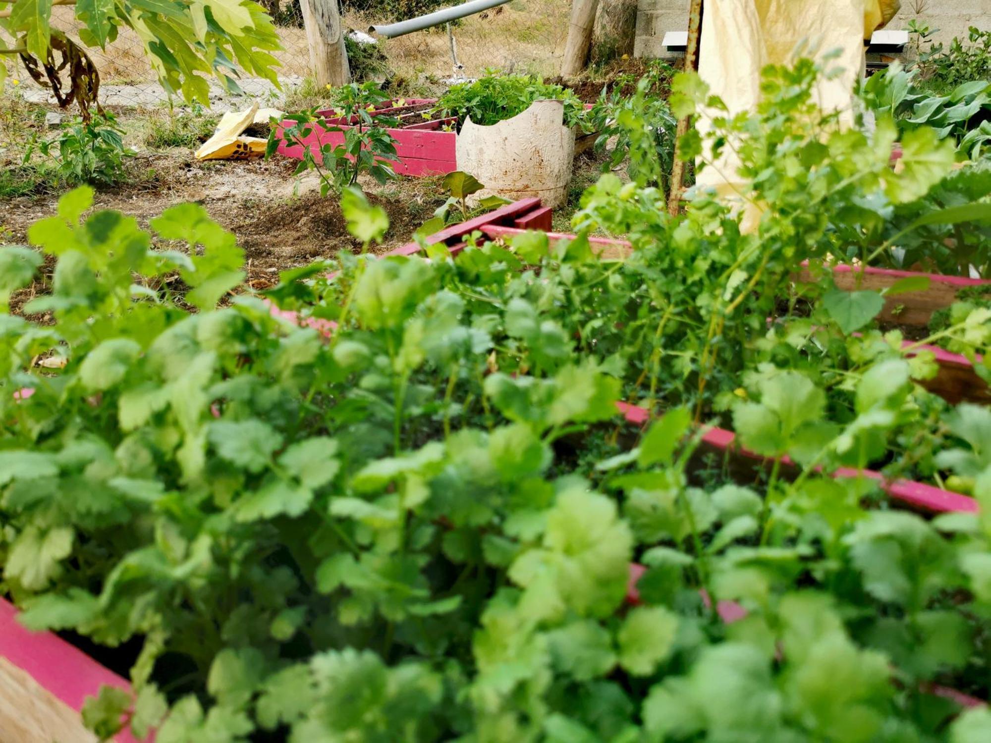 Panoramic Paradise La Ferme Exteriör bild